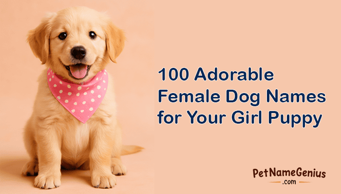 100 Adorable Female Dog Names for Your Girl Puppy