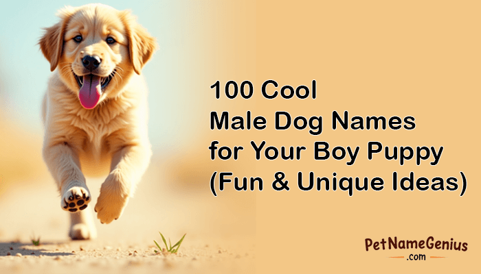 100 Cool Male Dog Names for Your Boy Puppy (Fun & Unique Ideas)