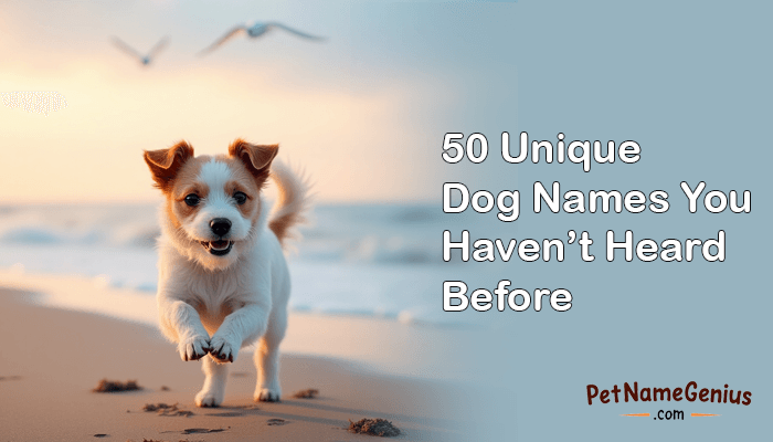 50-Unique-Dog-Names-You-Havent-Heard-Before